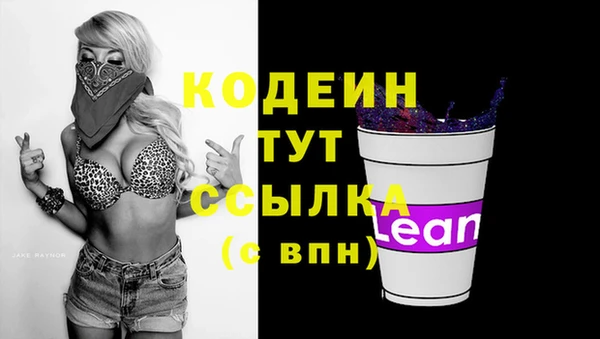 молекула духа Елизово