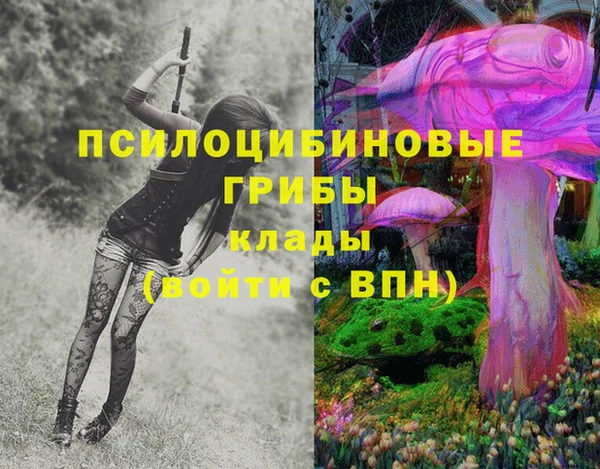 дживик Елабуга