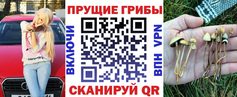Галлюциногенные грибы Cubensis Салават