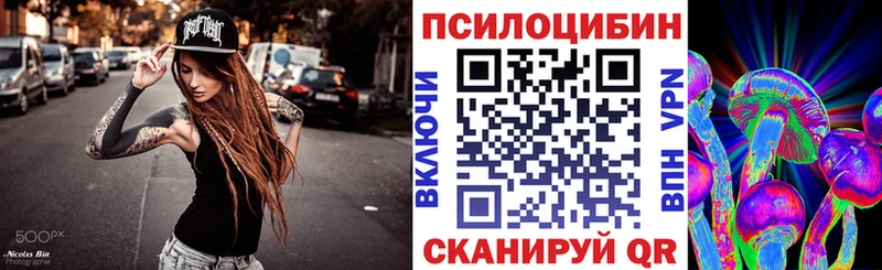 Псилоцибиновые грибы Psilocybe Салават